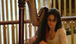 Harpist Drinks Reception and Ceremony 