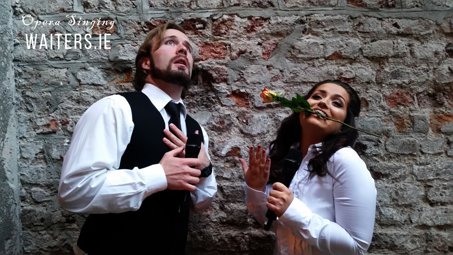 Singing Waiters with Drinks Reception Music Ireland